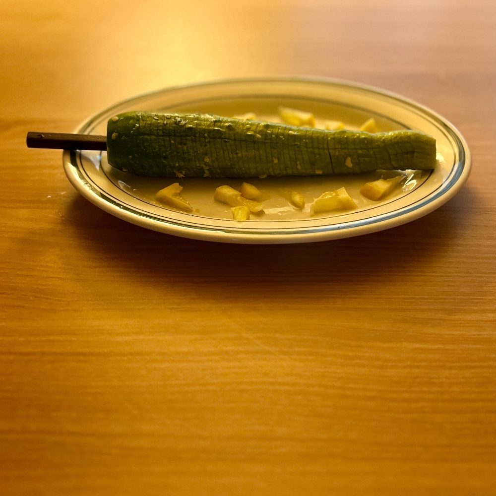 히야시큐리 오이 2