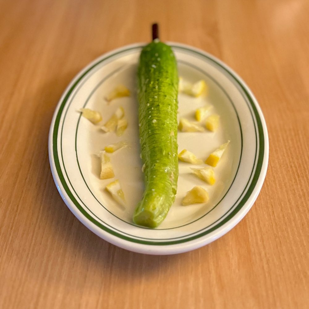 히야시큐리 오이 4