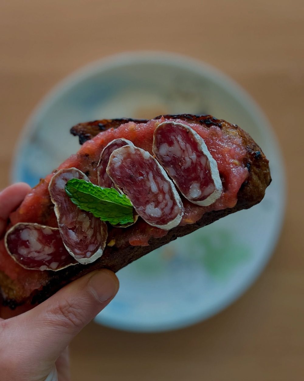 살라미를 얹은 판 콘 토마테, Pan con tomate con salami 3