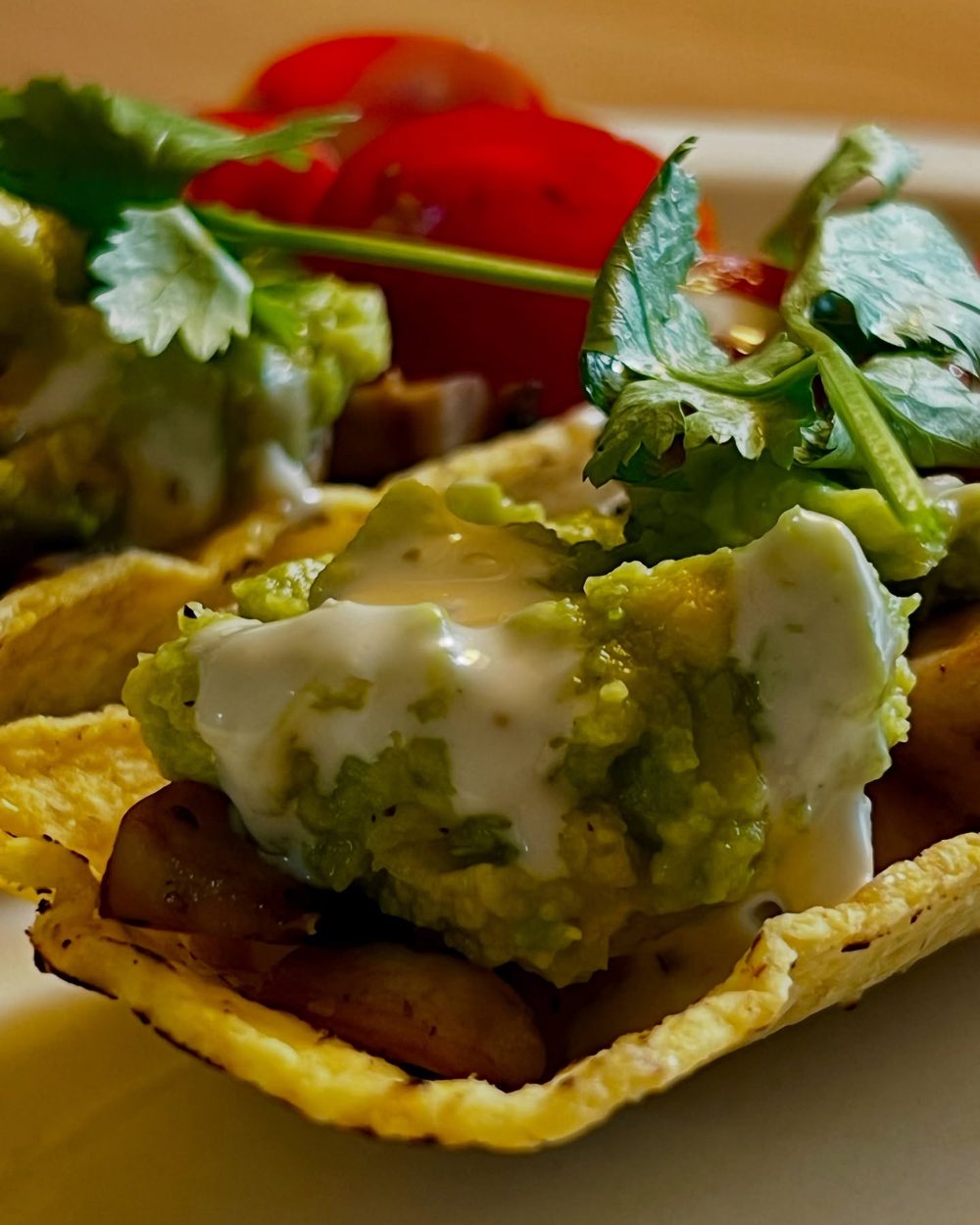 #타코터브 #Tacotub 2