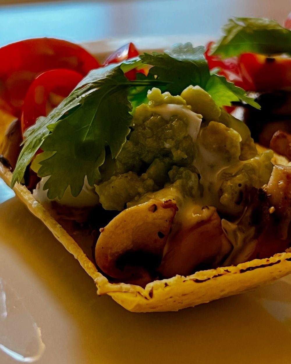 #타코터브 #Tacotub 4