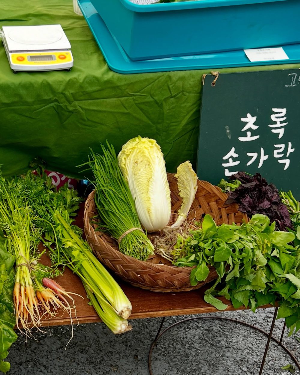 #당근샐러드 6