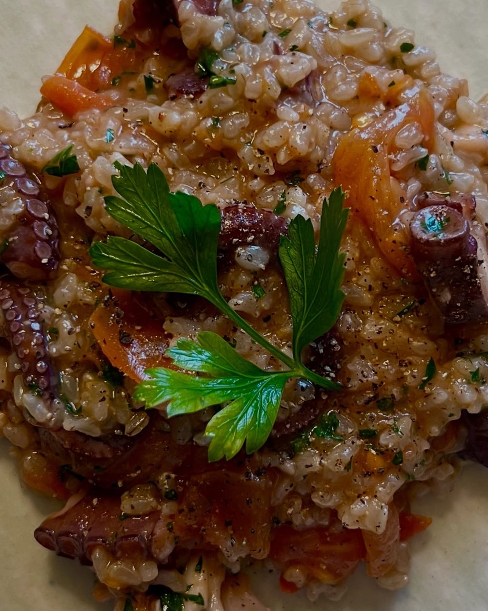 문어 토마토 리조토 4