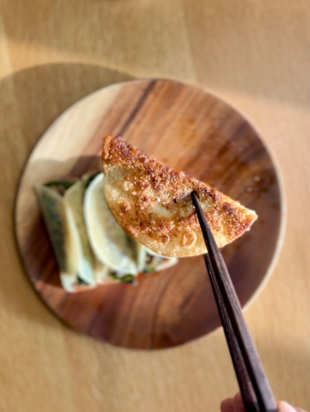 일본 스타일 가지교자 Japanese Style Eggplant Gyoja