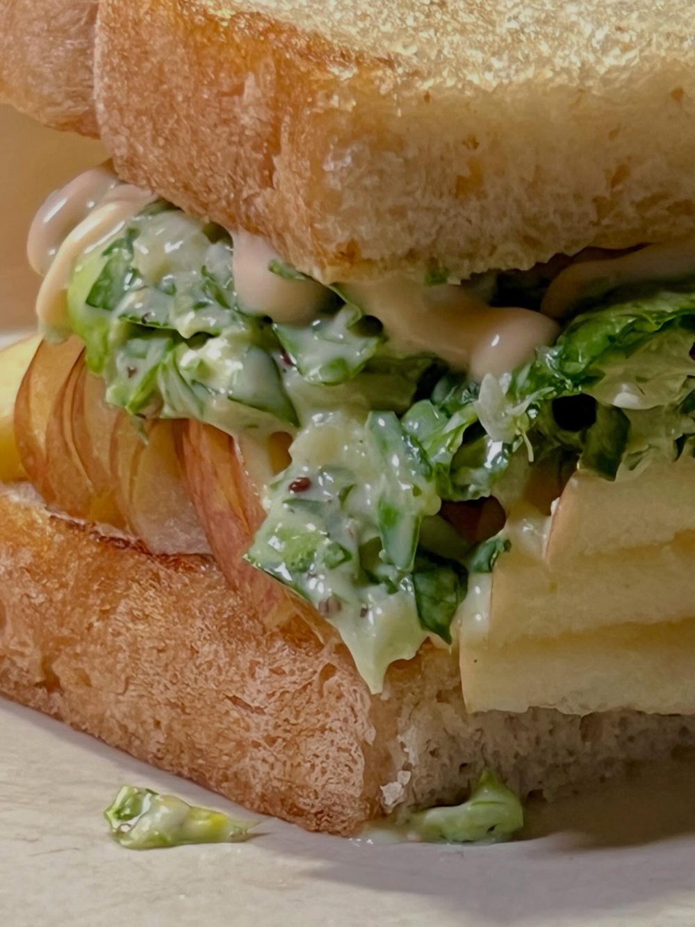 봄동 사과 샌드위치 Spring Cabbage Apple Rye Sandwich 5