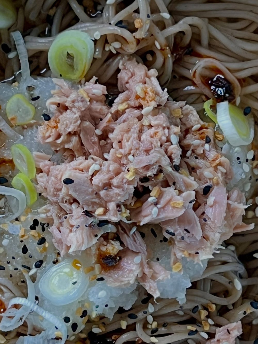 Warm Buckwheat Noodles with Tuna 2