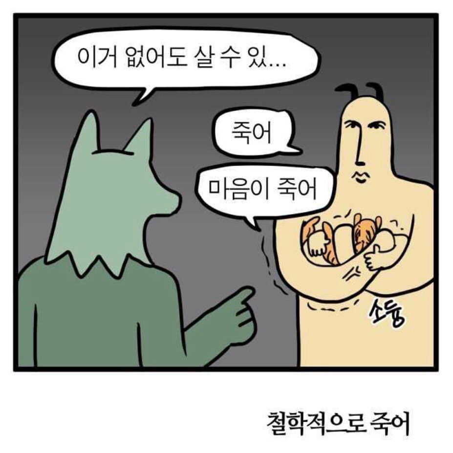시금치블루베리샐러드 모닝리추얼 모닝루틴 4