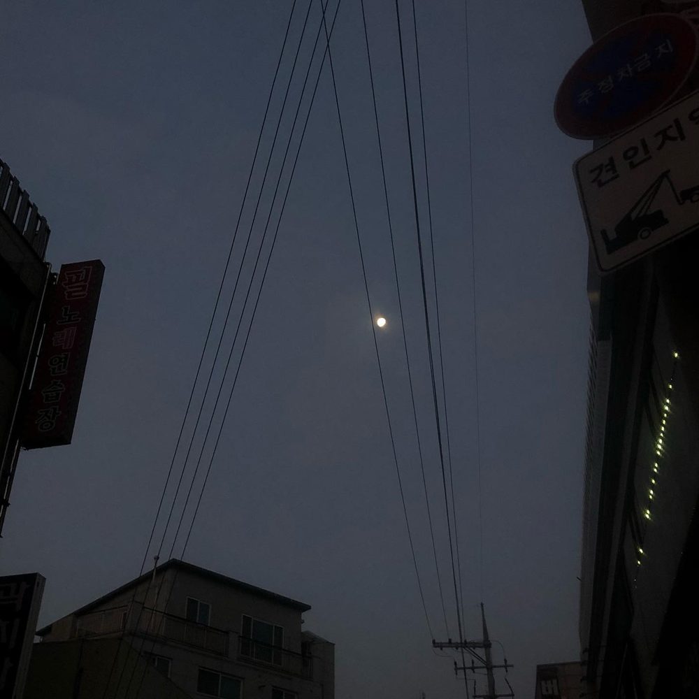 토마토모짜렐라샐러드 무민 모닝리추얼 4