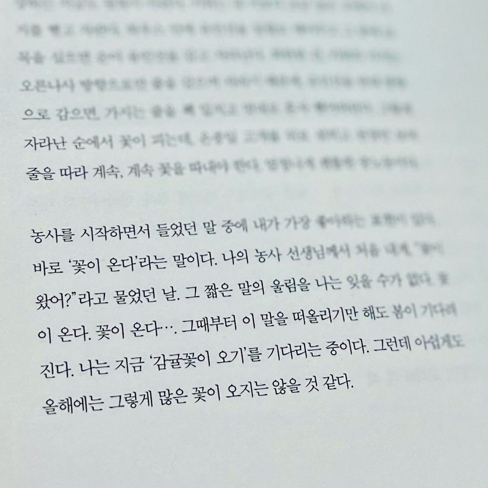 버섯샥슈카 루시드폴 모닝리추얼 3