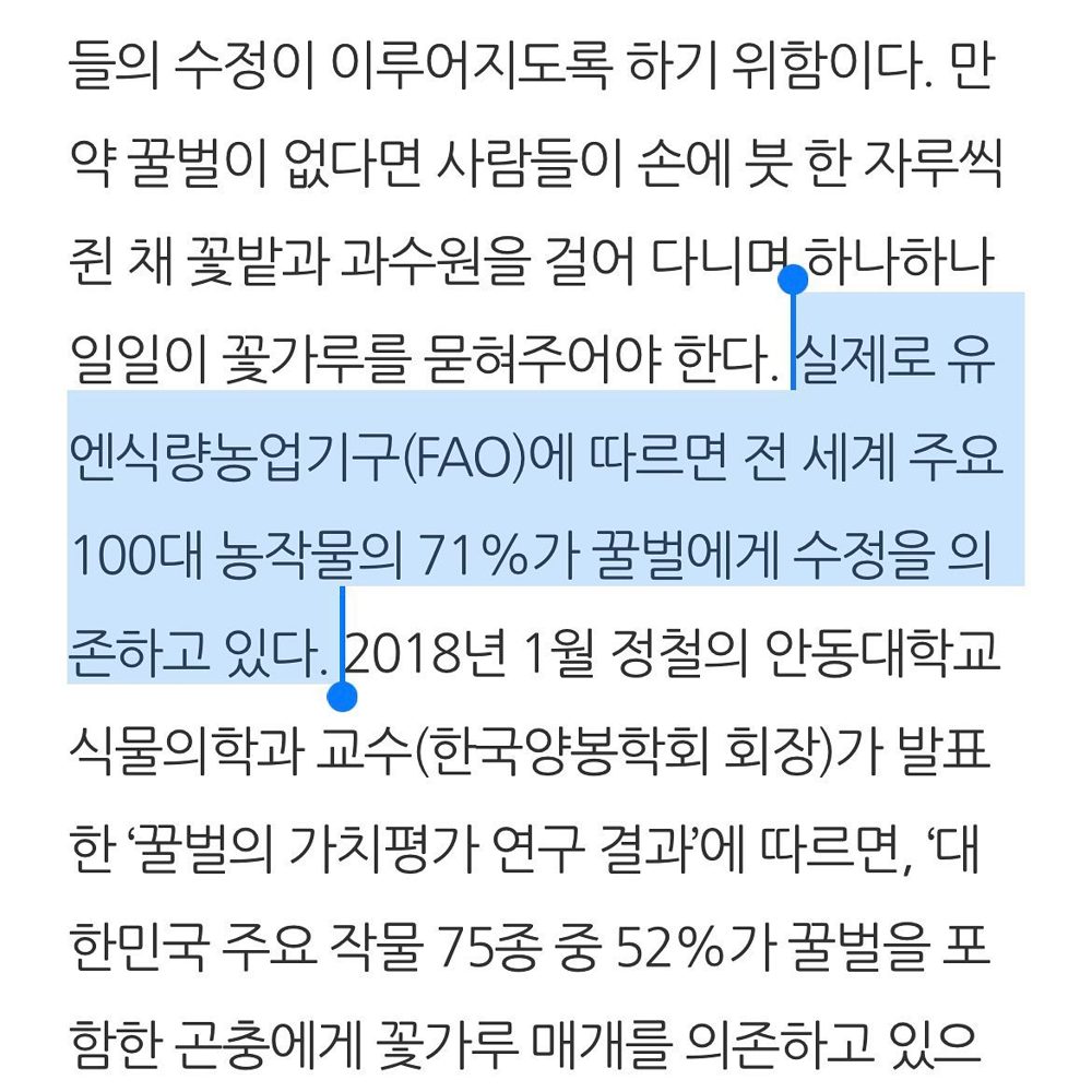 블루베리오트밀 모닝리추얼 모닝루틴 3