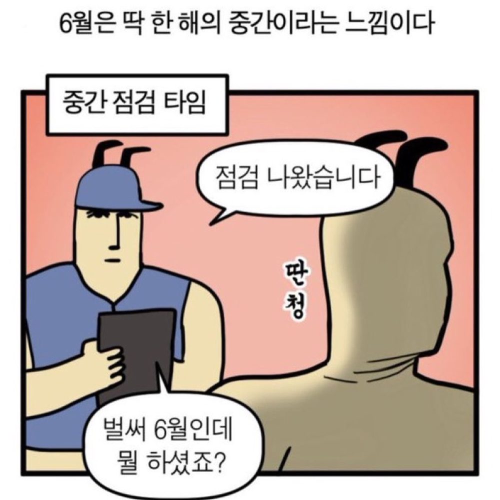 모닝리추얼 모닝루틴 살구 3