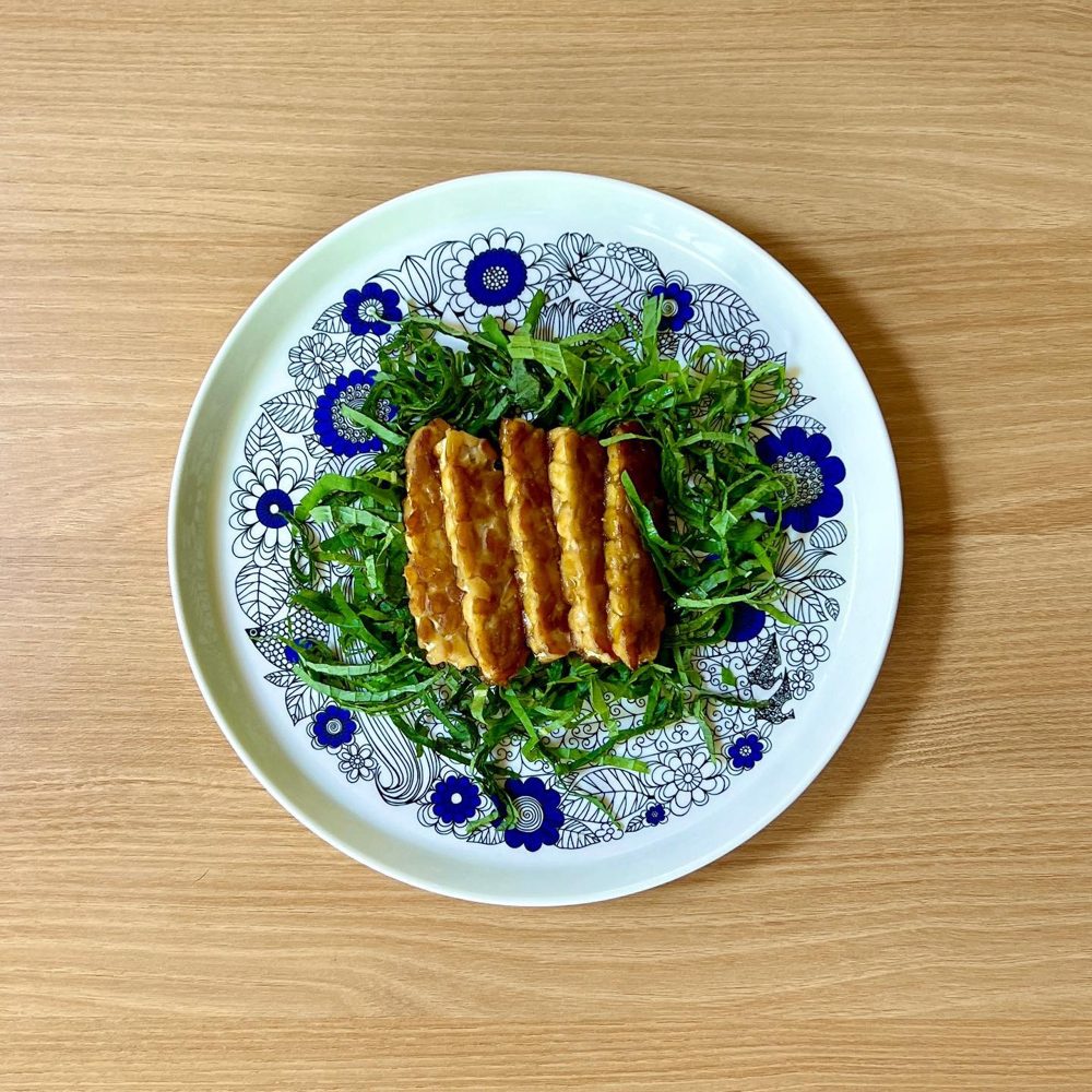 템페조림 템페 2