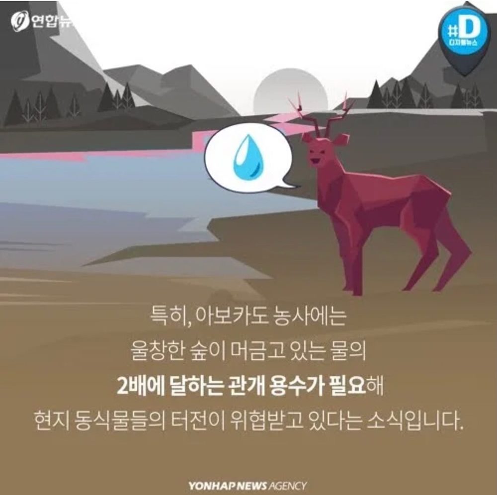 오늘의조식 아보카도 3