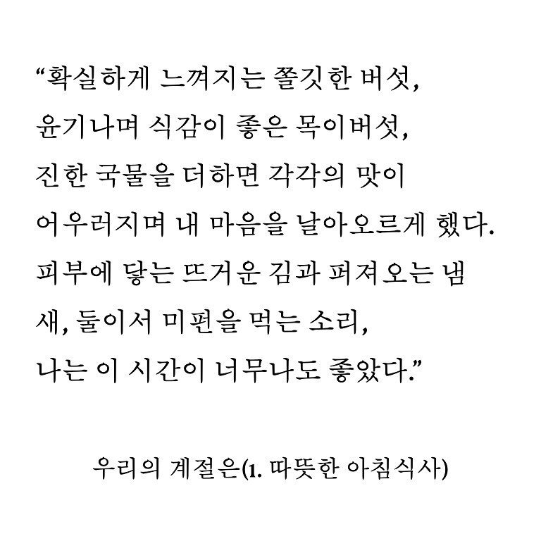 미펀 4