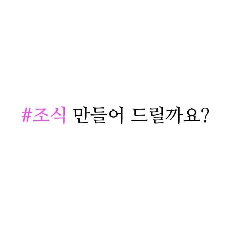 바다거북수프를끓이자